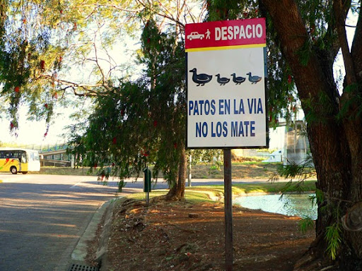 I buried treasure in Costa Rica when I was there last week and this snap is a treasure clue.