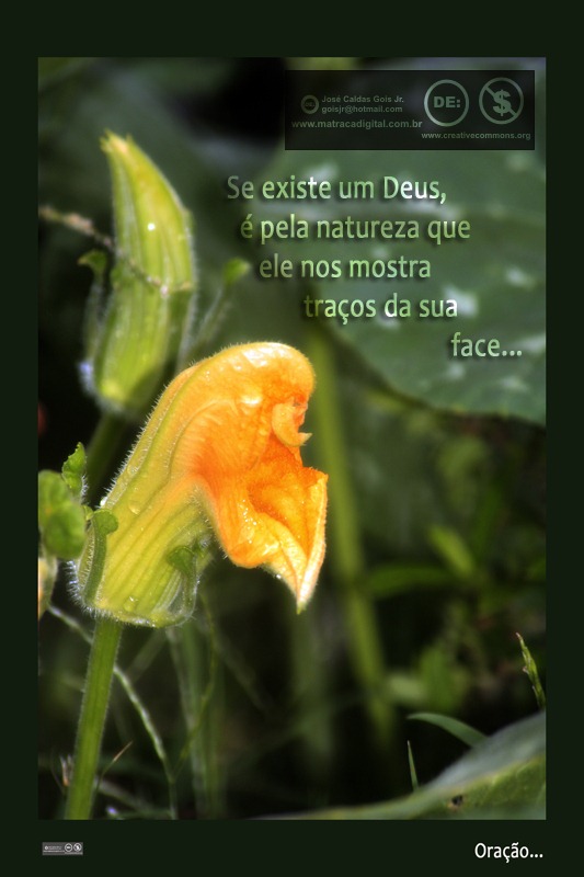 [_MG_2279_800pixels_face[4].jpg]