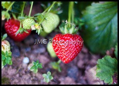 september 052