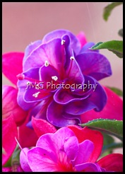 september 072