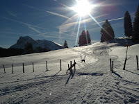 2011-01-05 12.45.02.jpg Photo
