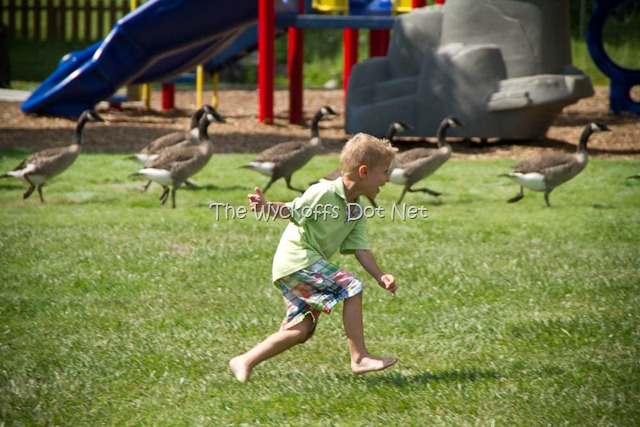 [20100626--8[14].jpg]
