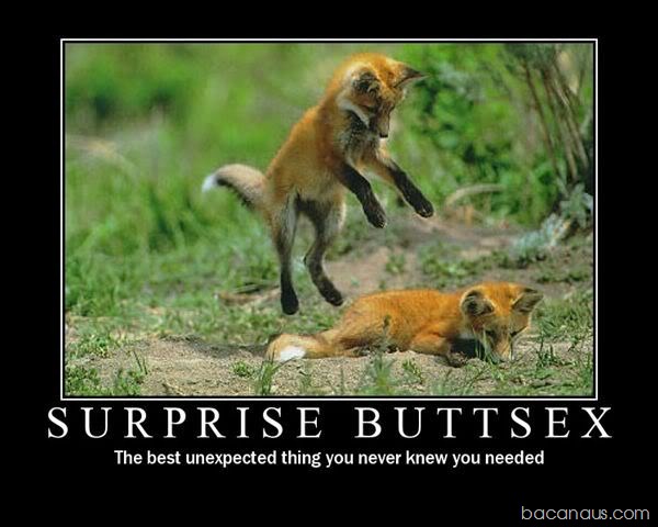[Surprise_Buttsex[2].jpg]