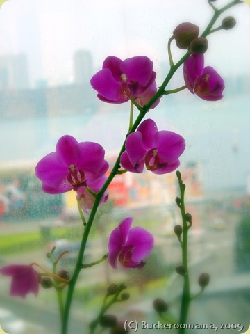 DSC01094