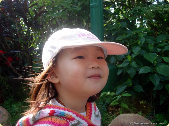 DSC04990 DSC04990