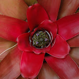 3. Hawaii 2004-2007