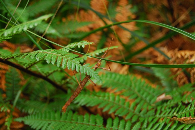 DSC_8937 DSC_8937