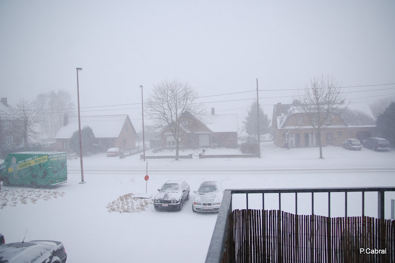 DSC_0003.JPG
