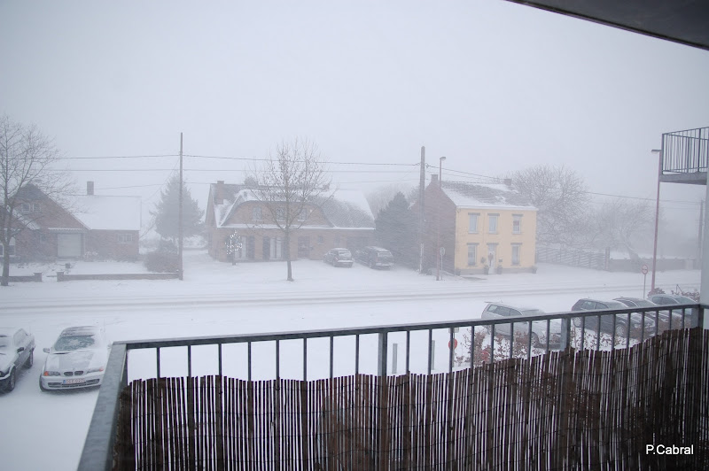 DSC_0004.JPG