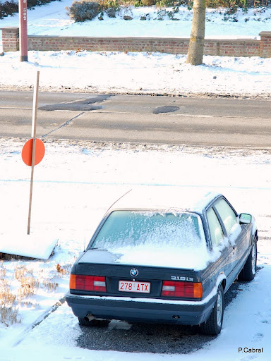 DSC_0006.JPG