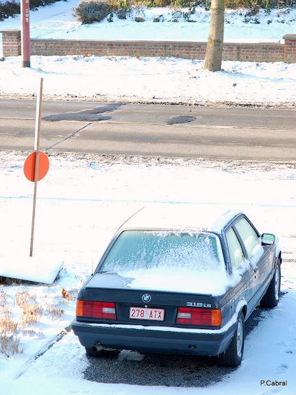 DSC_0006.JPG