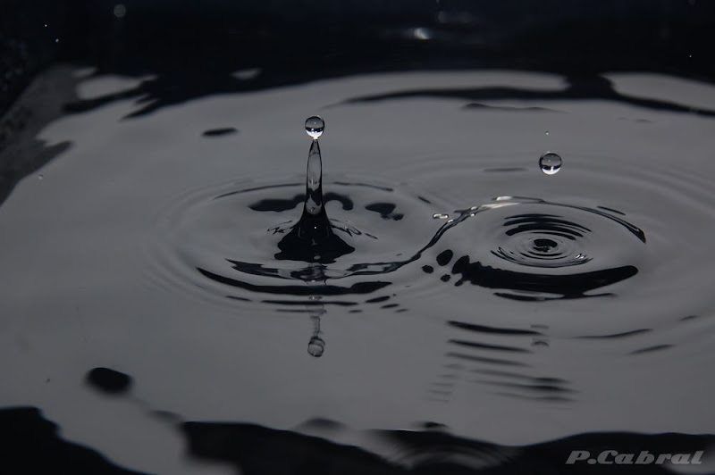 DSC_0043-1.jpg