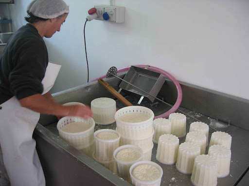 Cheese in Molds, Molise