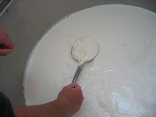 Carefully Skimming the Ricotta off the Surface, Molise