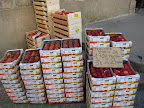 vakantie 2009 zomer 132.jpg