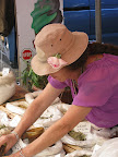 vakantie 2009 zomer 158.jpg