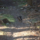 DSC02087.JPG