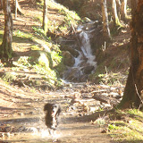 DSC02092.JPG