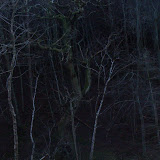 DSC02112.JPG