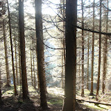 DSC02118.JPG