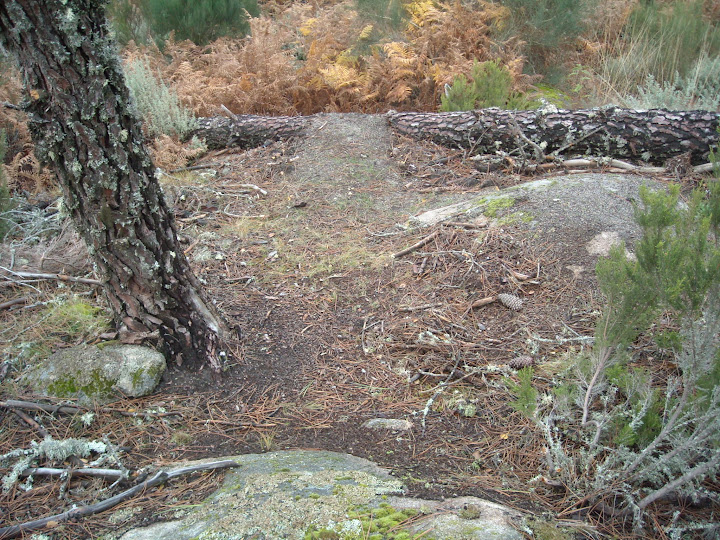 DSCN1046.JPG