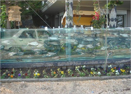 image003