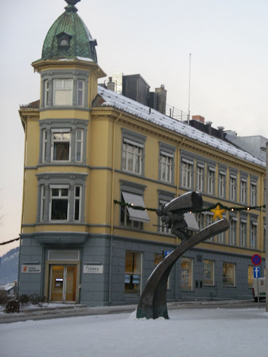 Новогодние каникулы. Норвегия, 2009. на авто