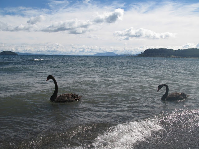 NZ - Lake Taupo