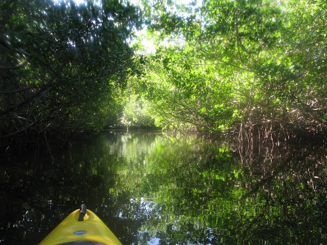 Everglades City
