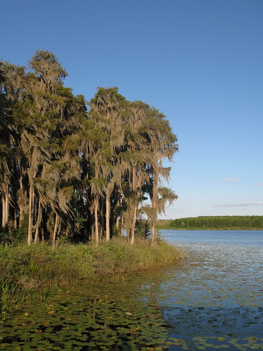 Lake Louisa State Park