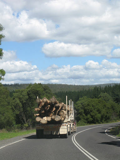 AU - South East Forests National Park - roadtrain