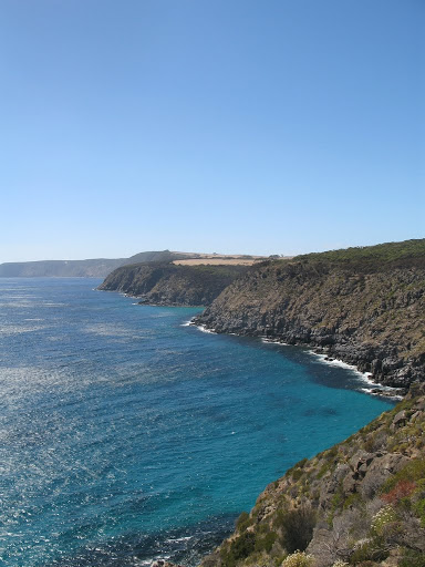 AU - Kangaroo Island - Clifftop Hike - Scotts Cove