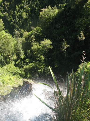 NZ - Kamai-Mamaku Forest Park  - Waitawheta Valley
