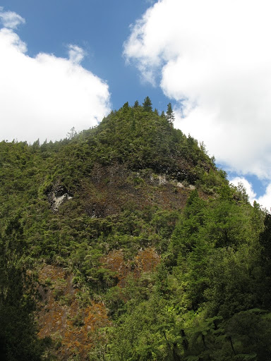 NZ - Kamai-Mamaku Forest Park  - Waitawheta Valley