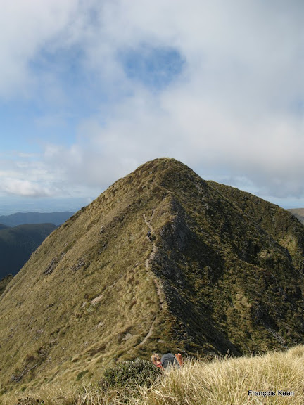 NZ - Tararuas - after Kime hut - on the way to Mt Hector