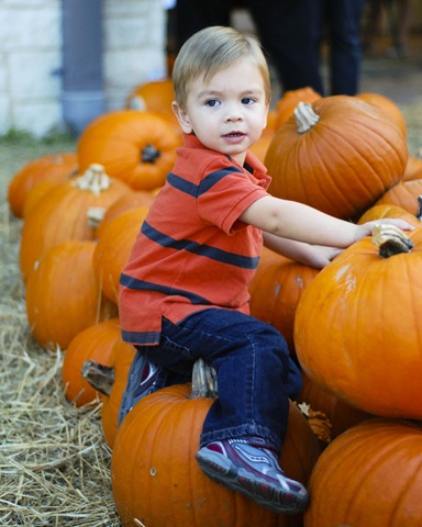 [DSC_0388[6].jpg]