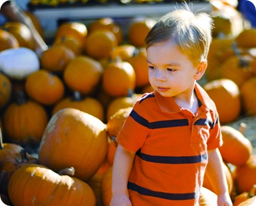 lbjpumpkin3
