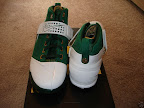 Nike Zoom LeBron V