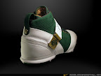 Nike Zoom LeBron V