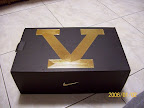 Nike Zoom LeBron V
