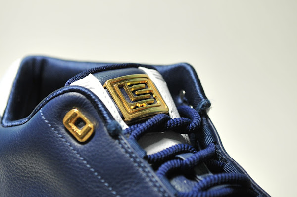 BlackGold and WhiteNavy Zoom LeBron Low ST Detailed Pics
