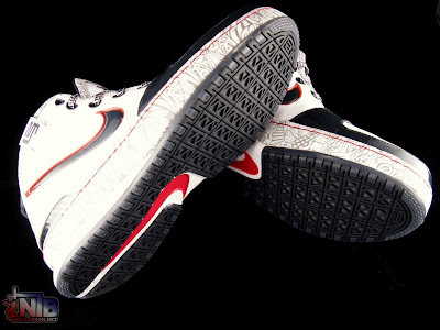 Basketball Shoes on Usa Basketball United We Rise Lebron Six Showcase Nike Lebron
