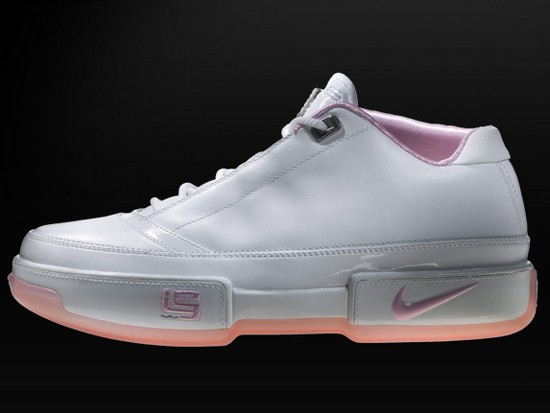 lebron shoes 2009