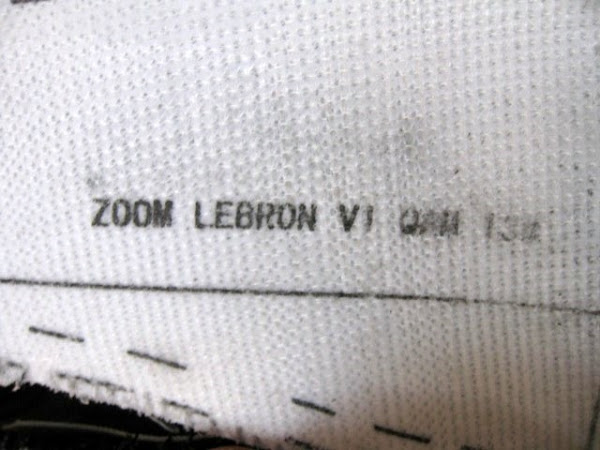 LeBron Anatomy 8211 Zoom LeBron VI wDouble Stacked Zoom Air