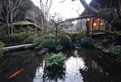 Ukai - Toriyama - garden