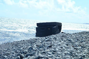 DSCF0073.JPG