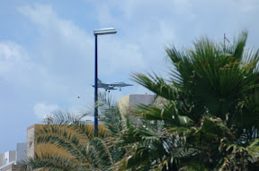 DSCF0131-2.JPG