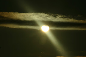 IMG_2662.jpg