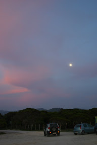 IMG_2692.jpg