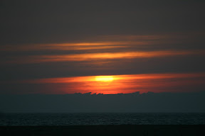 IMG_2763.jpg